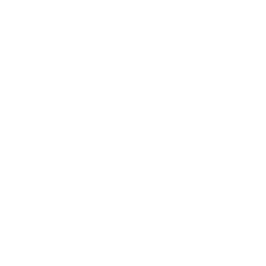 Gentle on Gums