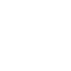 Healthy Gums